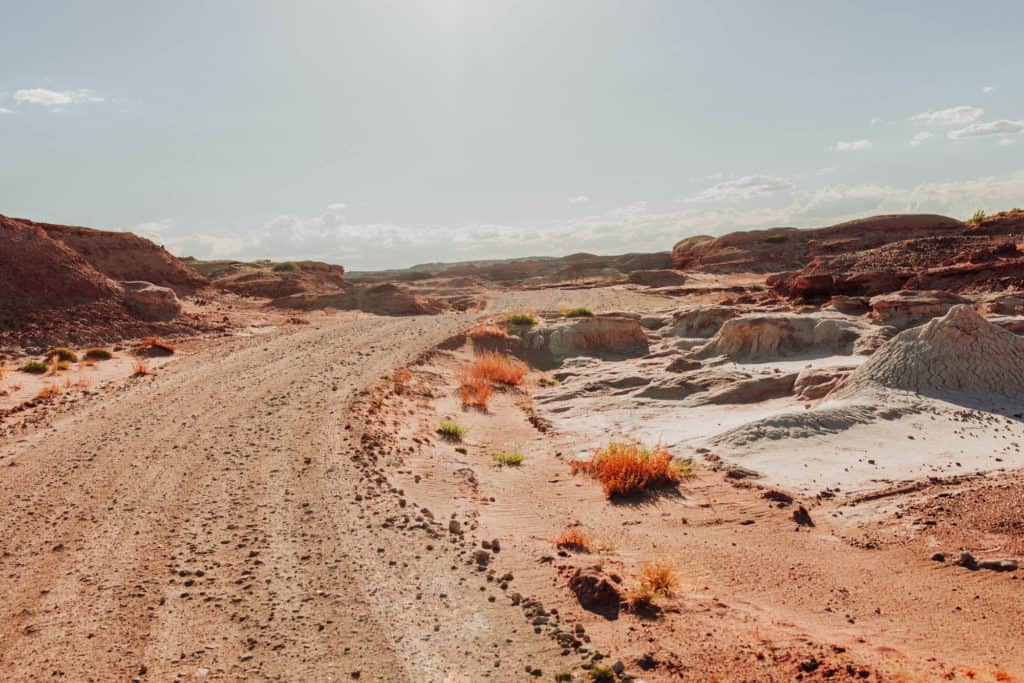 Cow Dung Road near Hanksville, Utah