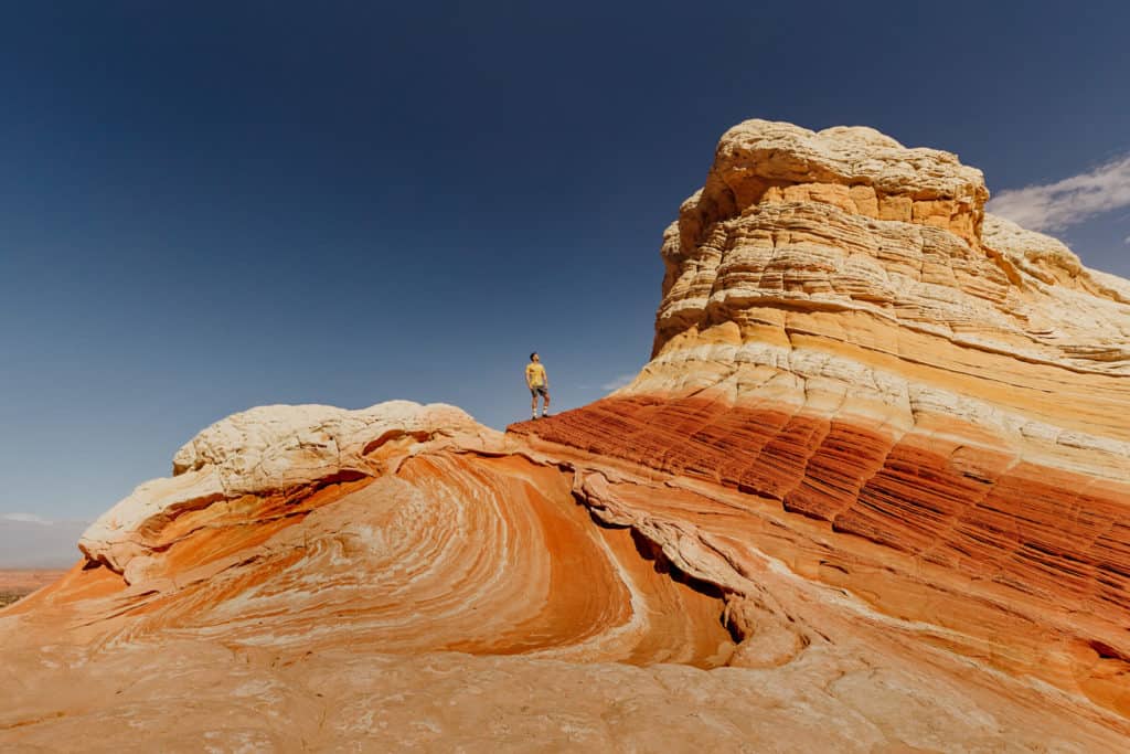 alternative to the wave