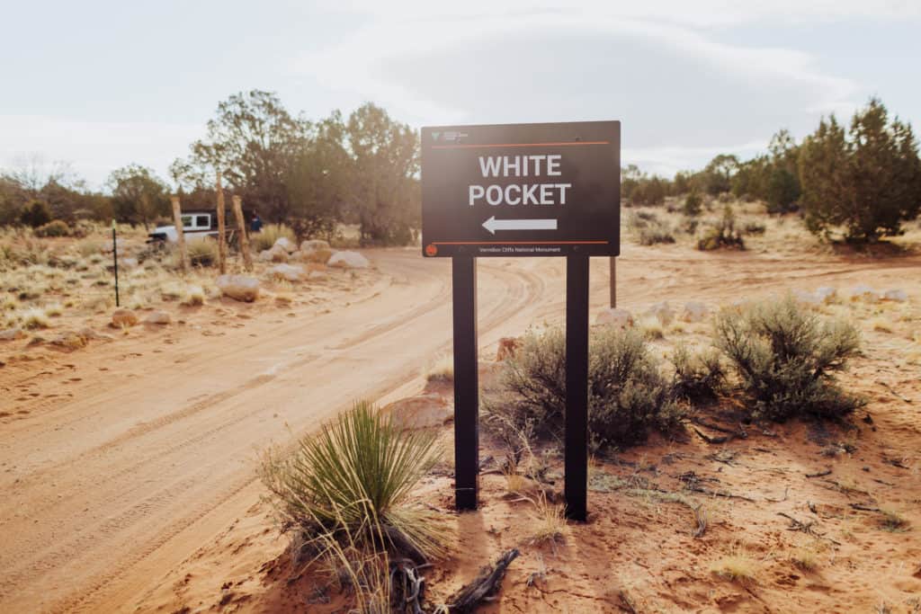 White Pocket Sign