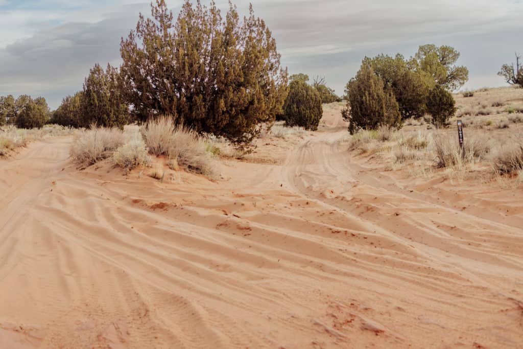 White Pocket Sand Rut