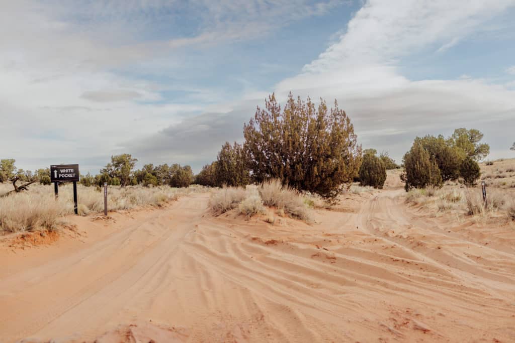 The road to White Pocket, AZ