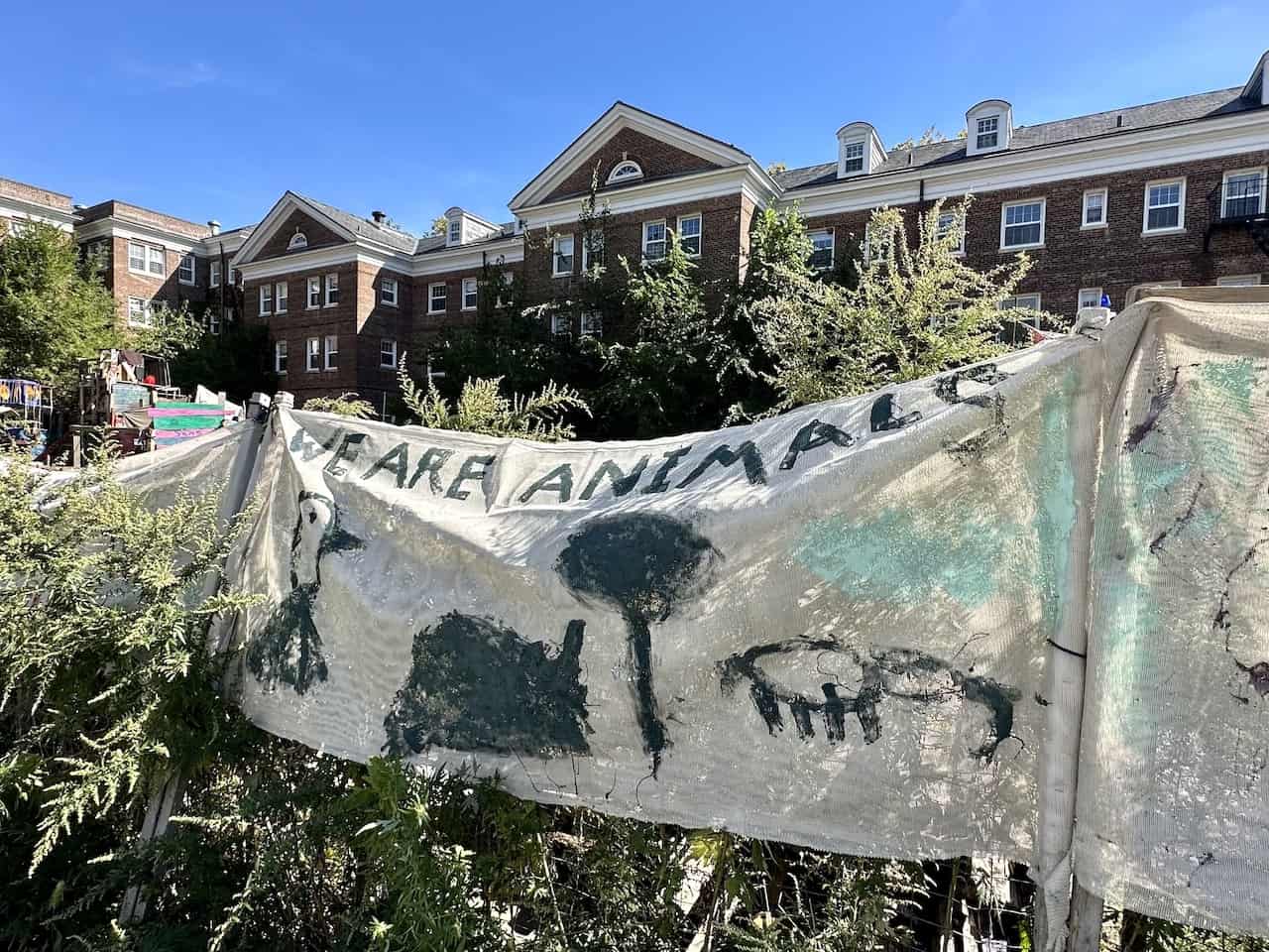 the yard governors island