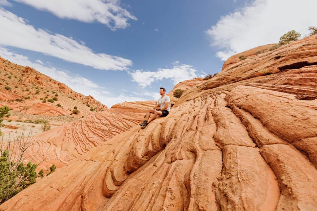 alternative to the wave