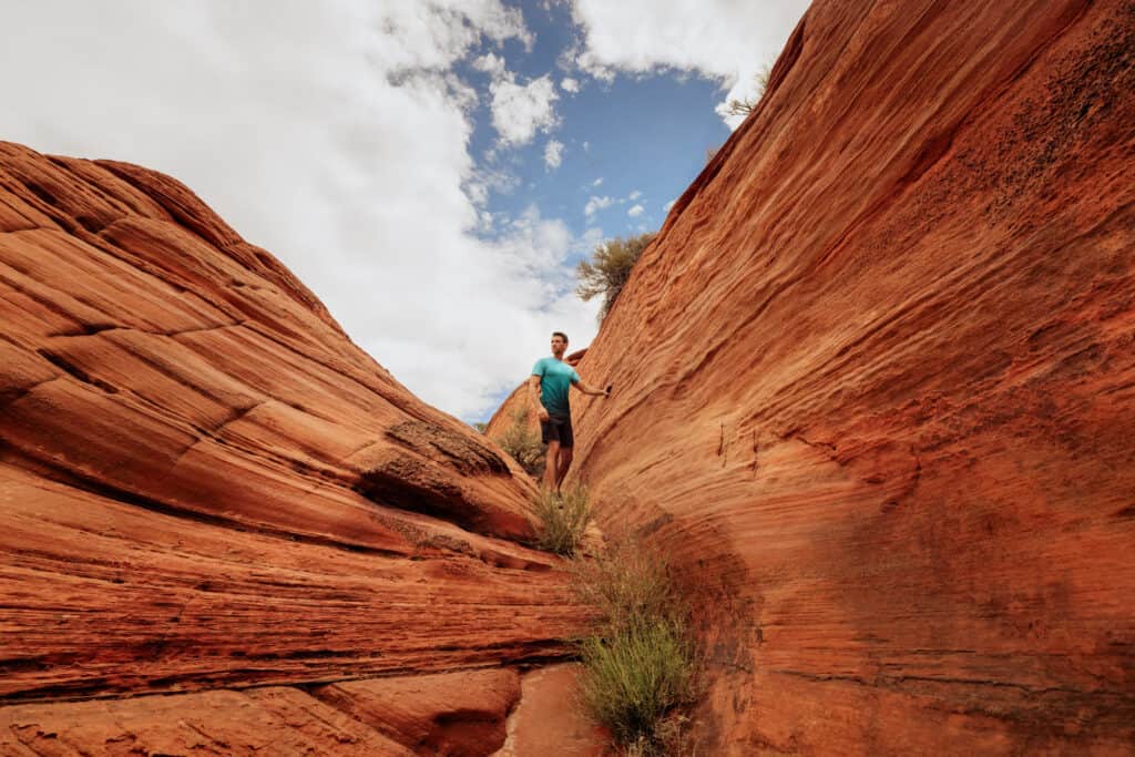 alternative to the wave