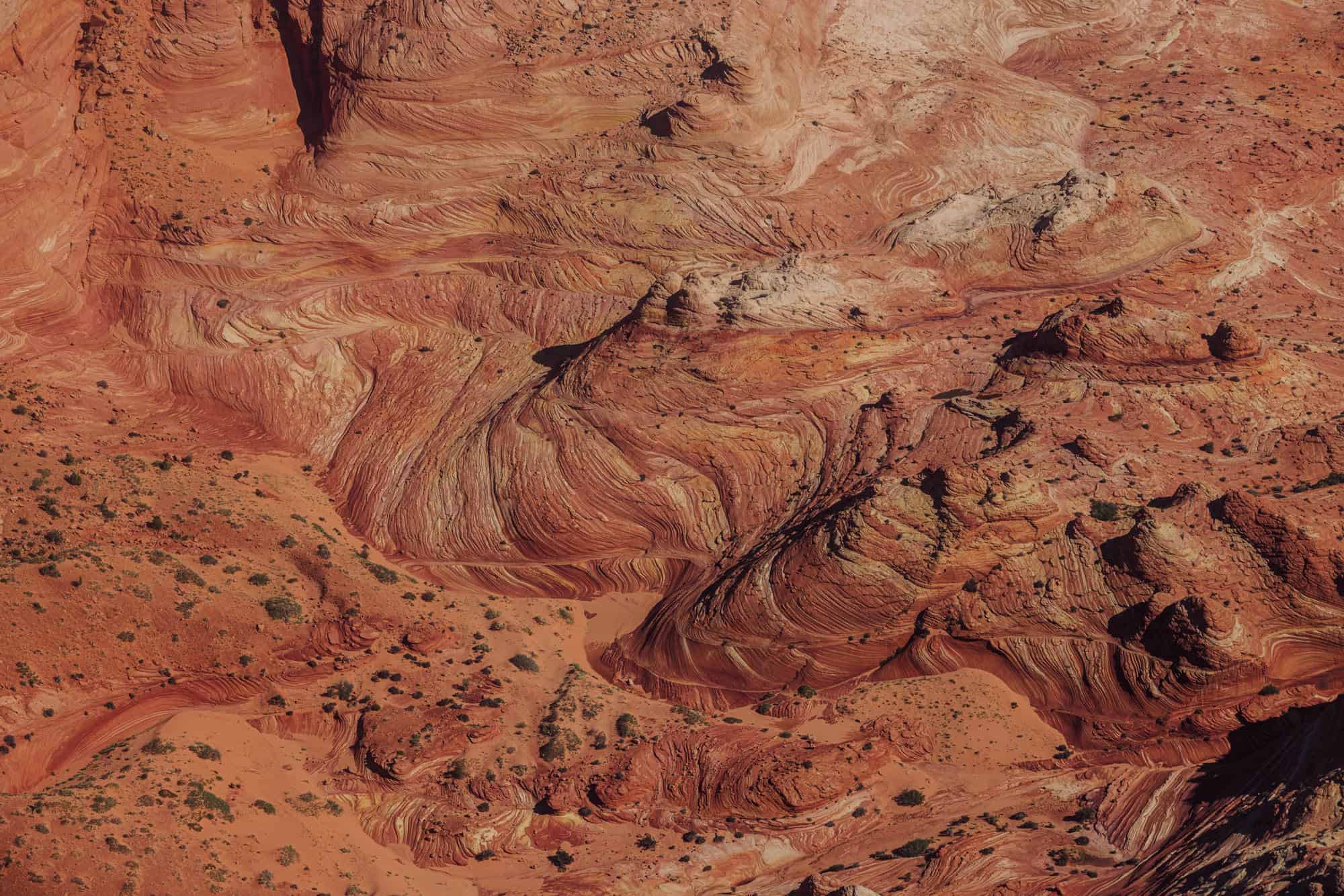 the wave without a permit