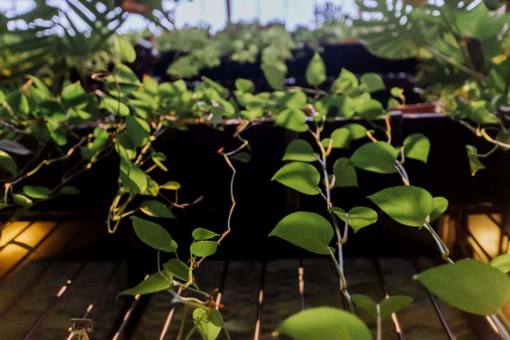 sustainable hotel copenhagen