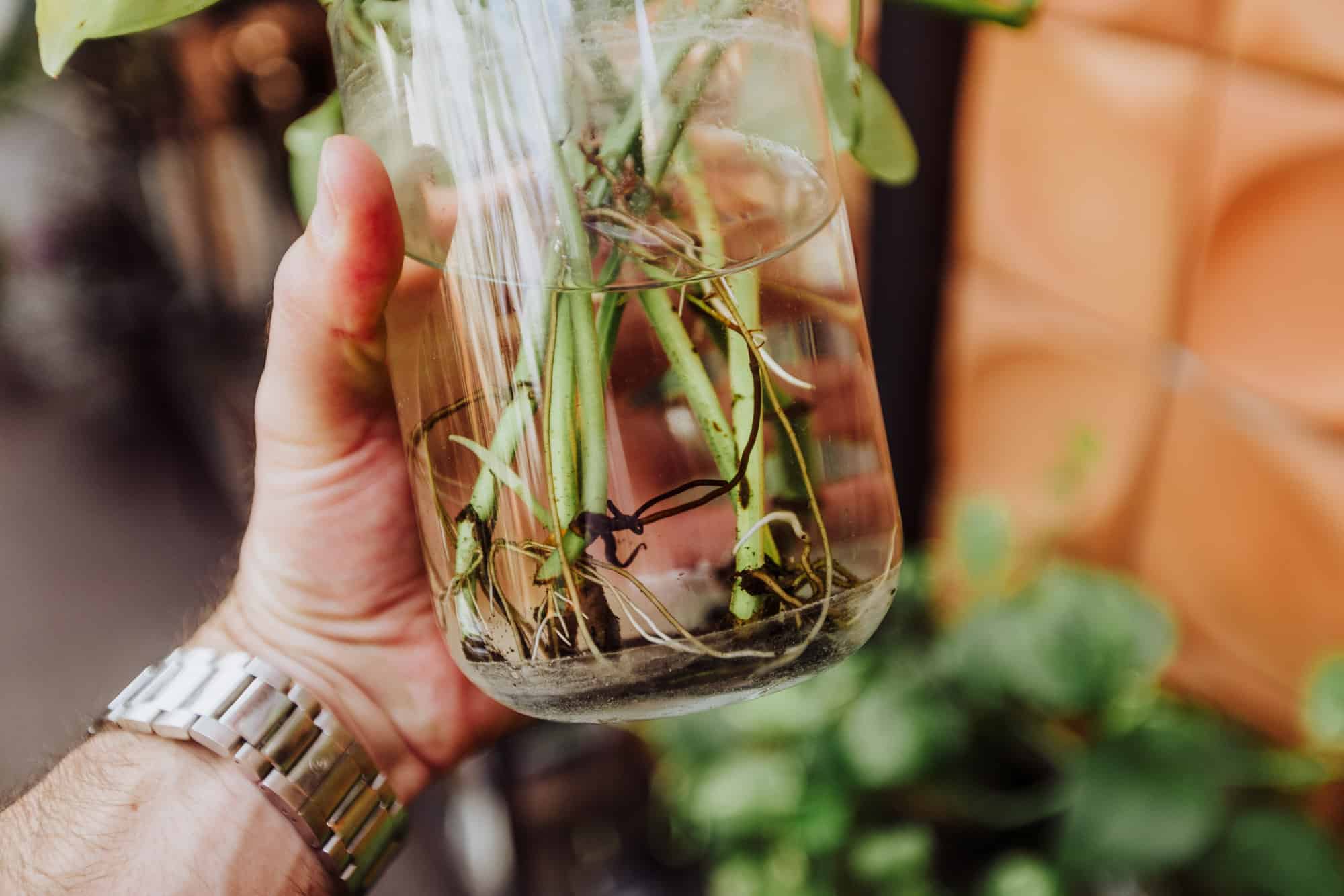 sustainable hotel copenhagen