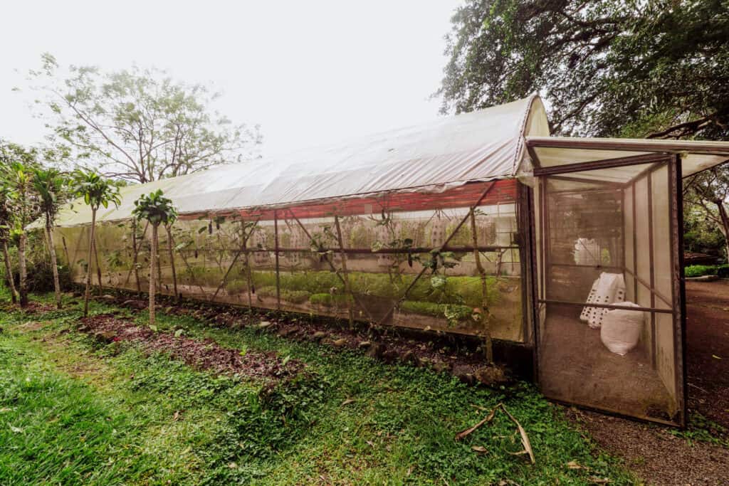finca rosa blanca greenhouse