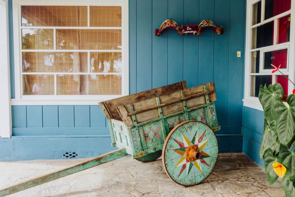 costa rican coffee tour