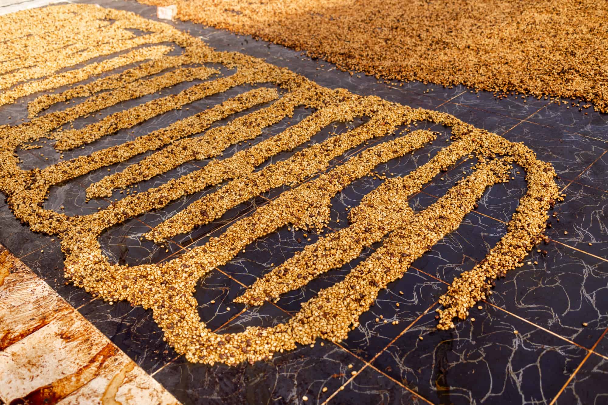 aquiares coffee beans