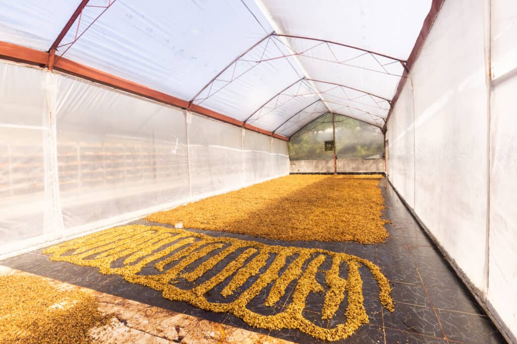 costa rica coffee farm tour