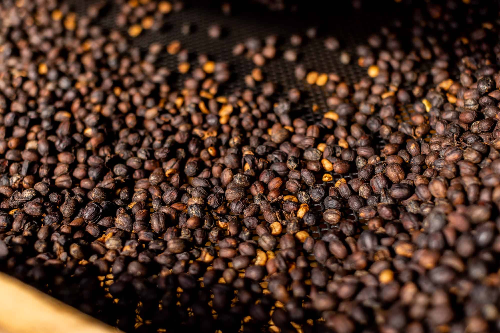 costa rico coffee tour