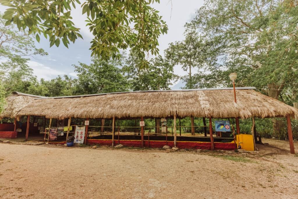 Mexico's Suytun Cenote: 21 Tips for the Best Visit and Photos