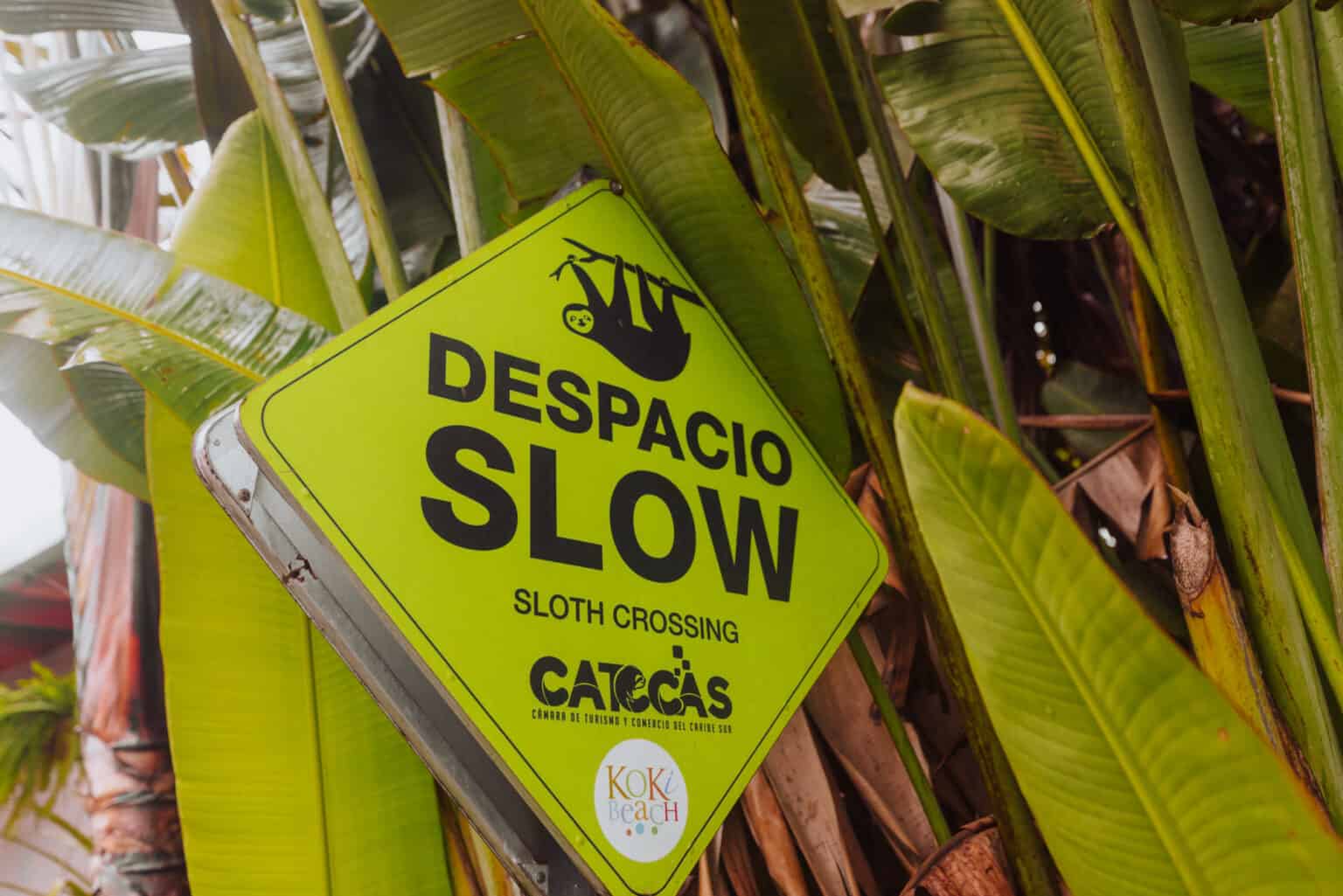 Is it Safe to Rent and Drive a Car in Costa Rica? 25 Things to Know