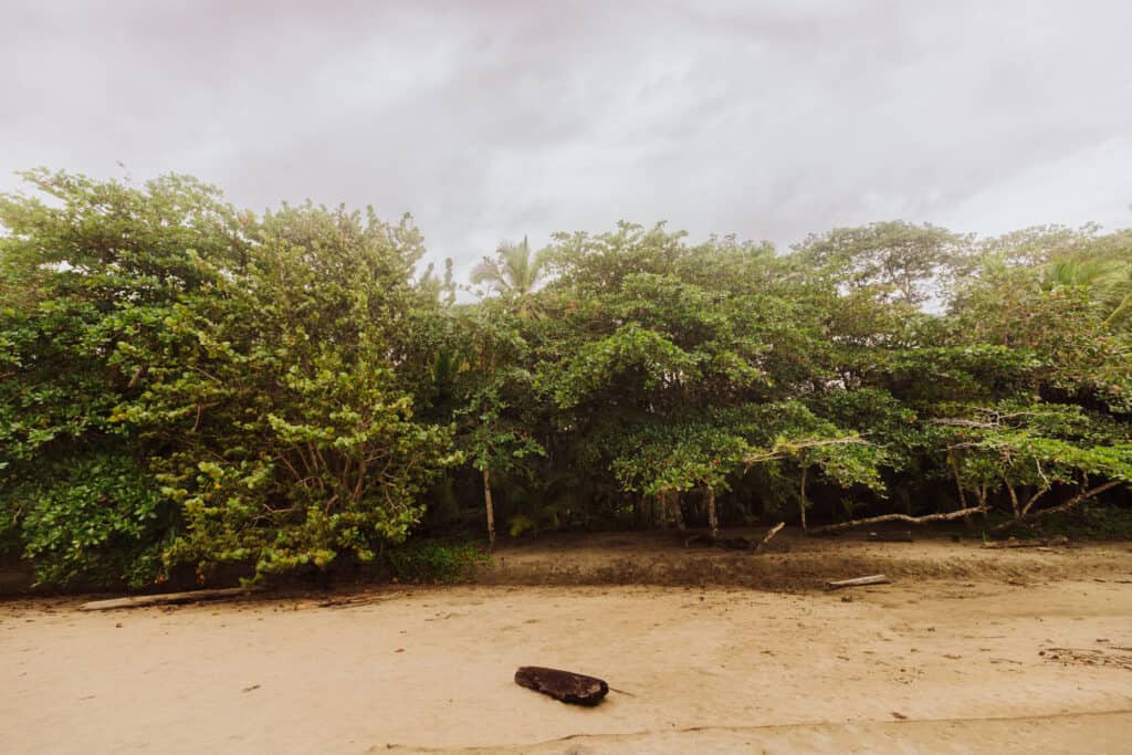 best beaches in puerto viejo limon
