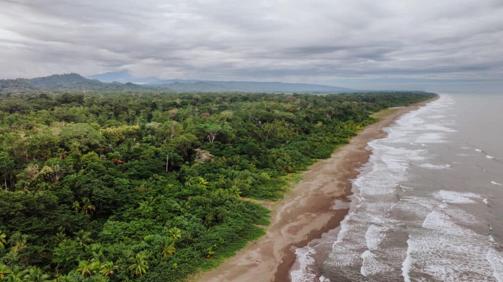 puerto viejo limon's best beaches cahuita national park