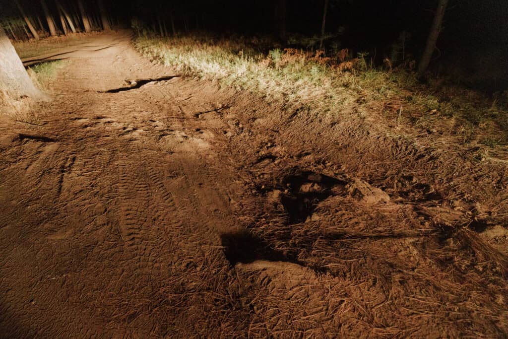 coconino national forest service road