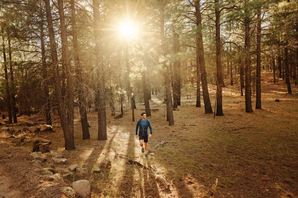 coconino national forest