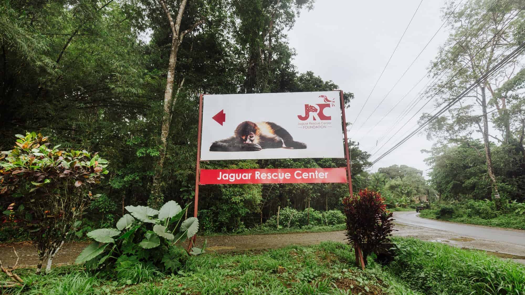 jaguar rescue center costa rica