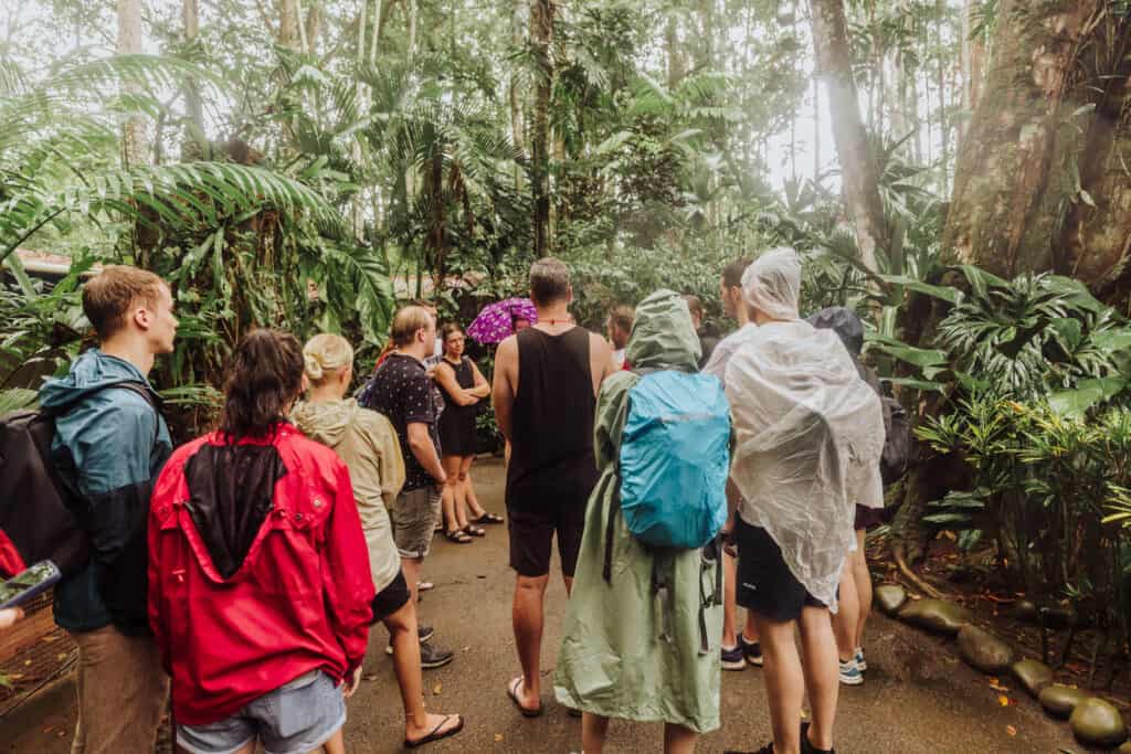 costa rica wildlife rescue