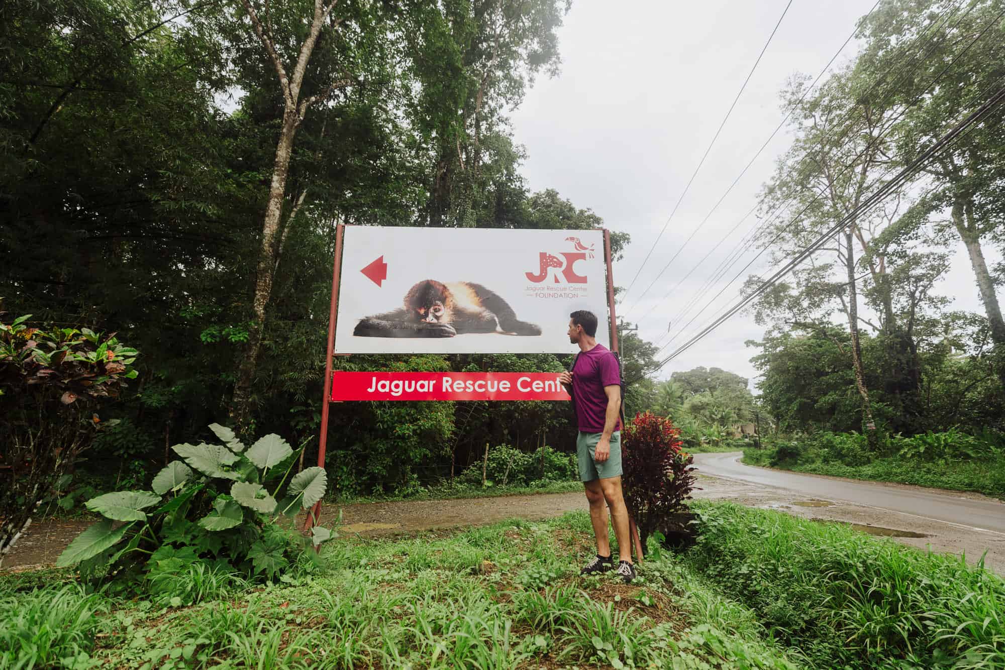 costa rica animal rescue center