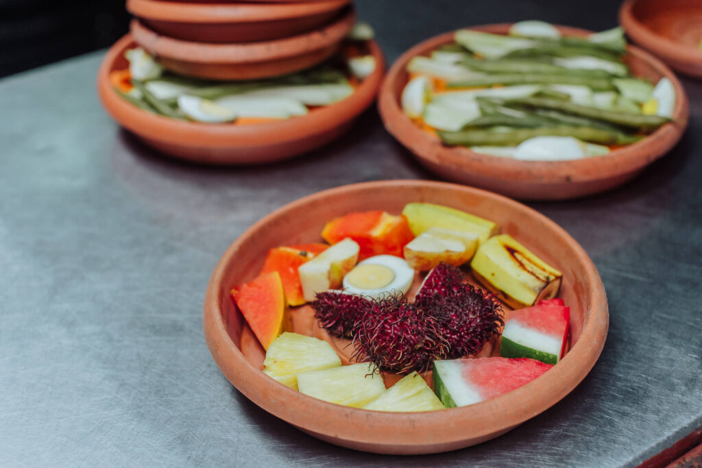 costa rica animal rescue center volunteer