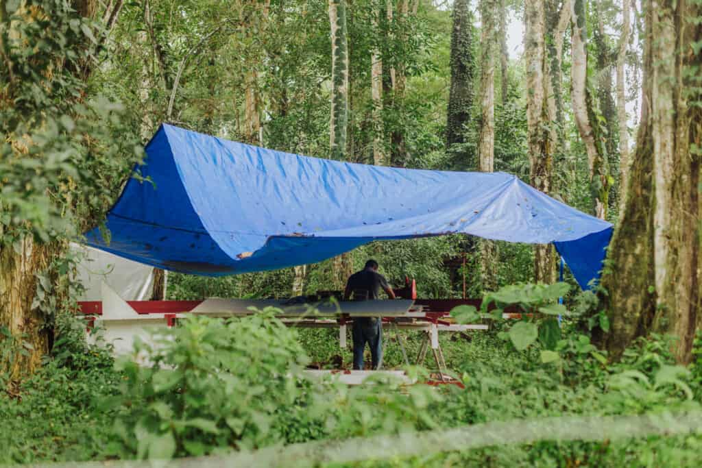 jaguar rescue center volunteer