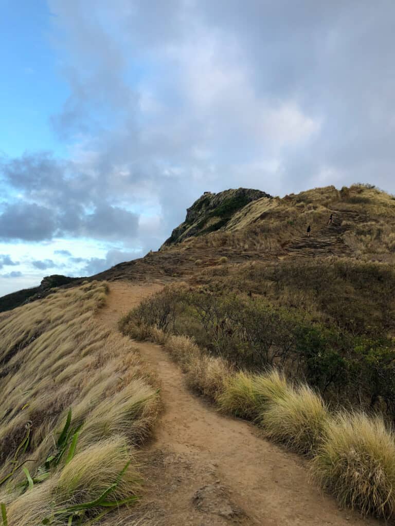 lanikai pillbox trail hike