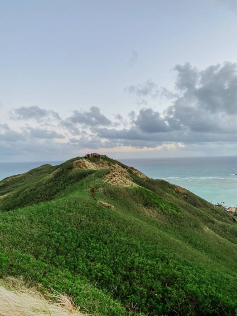 kaiwa ridge trail oahu