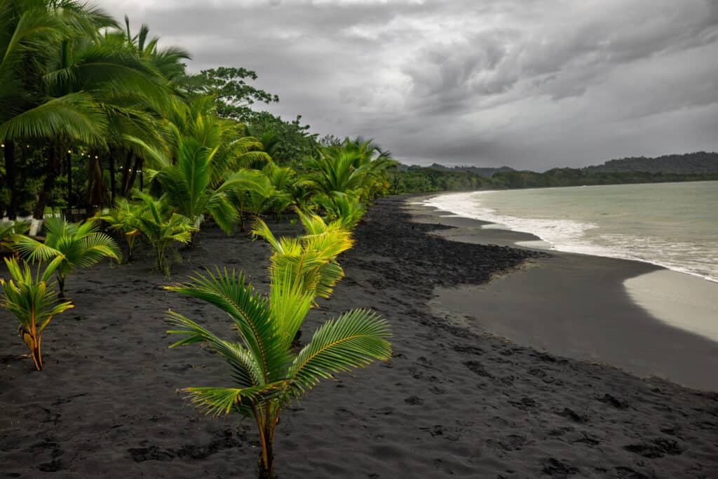 puerto viejo's best beaches playa negra
