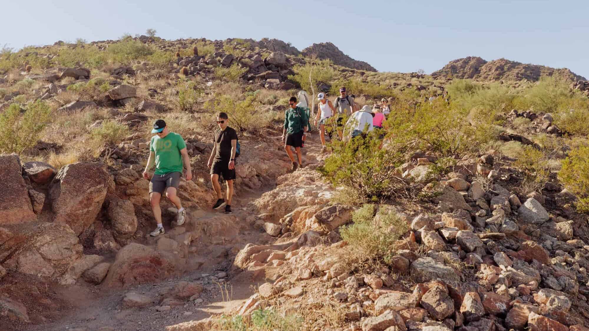 hiking camelback mountain cholla