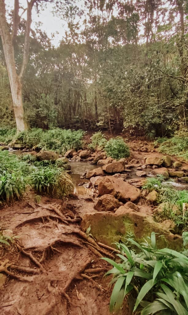 maunawili falls trailhead closed
