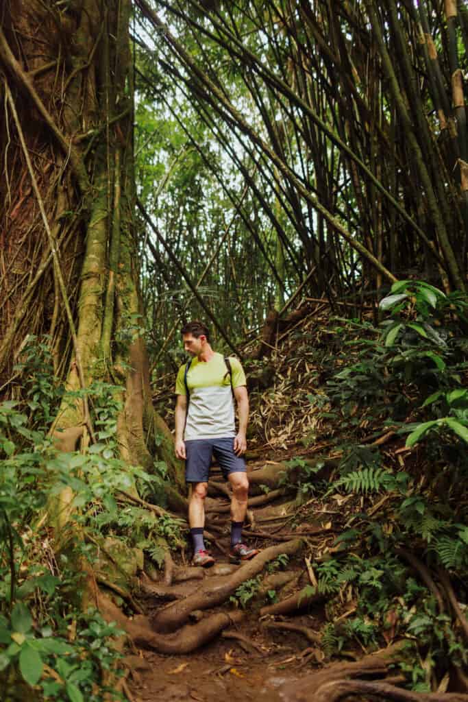 maunawili falls trail hike