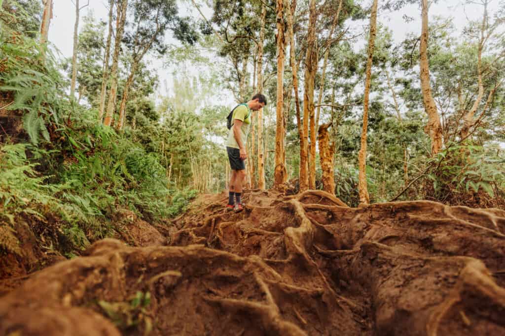 maunawili falls trail damage