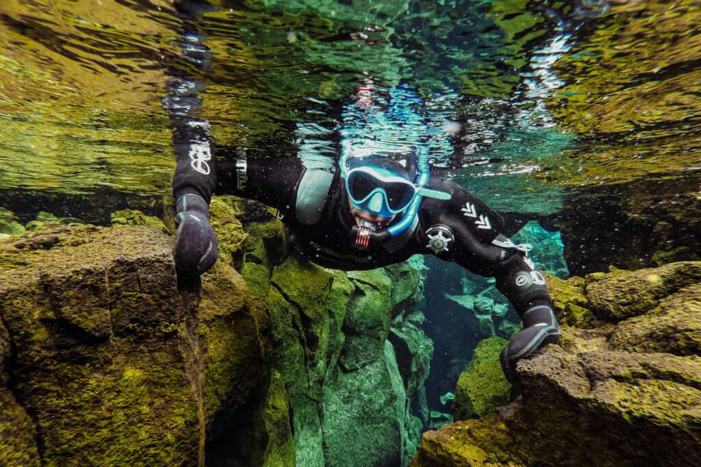 swimming between the tectonic plates