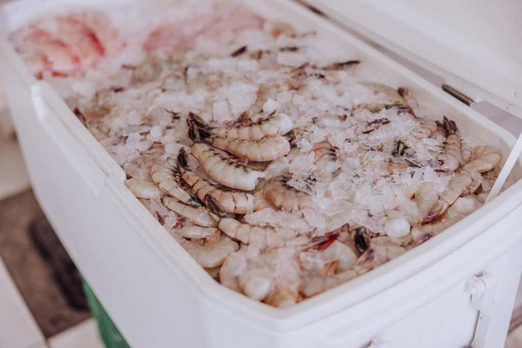 fish market puerto penasco shrimp
