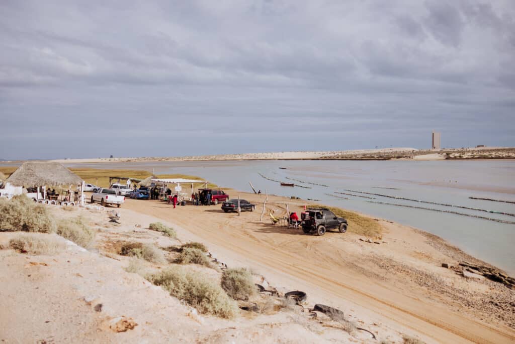 rocky point oyster farm