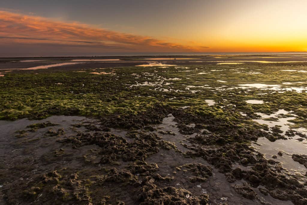 puerto penasco low tide sunset