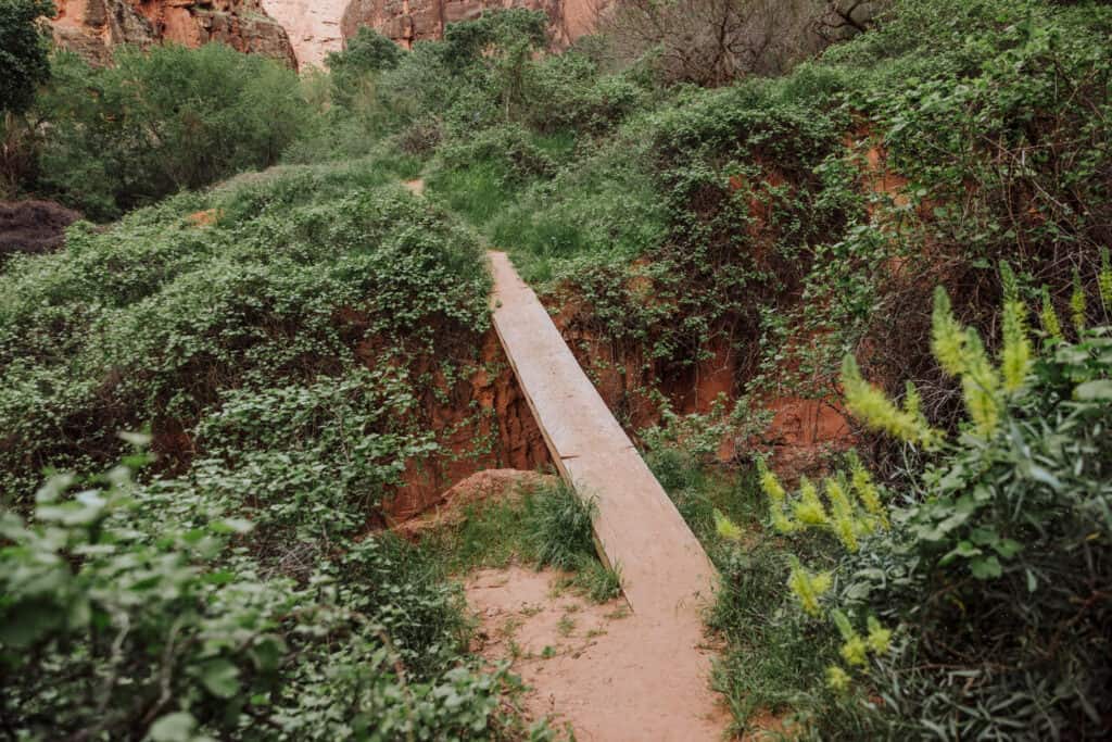 hike to beaver falls
