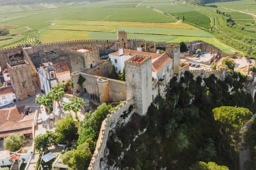 Obidos Castle and vineyards