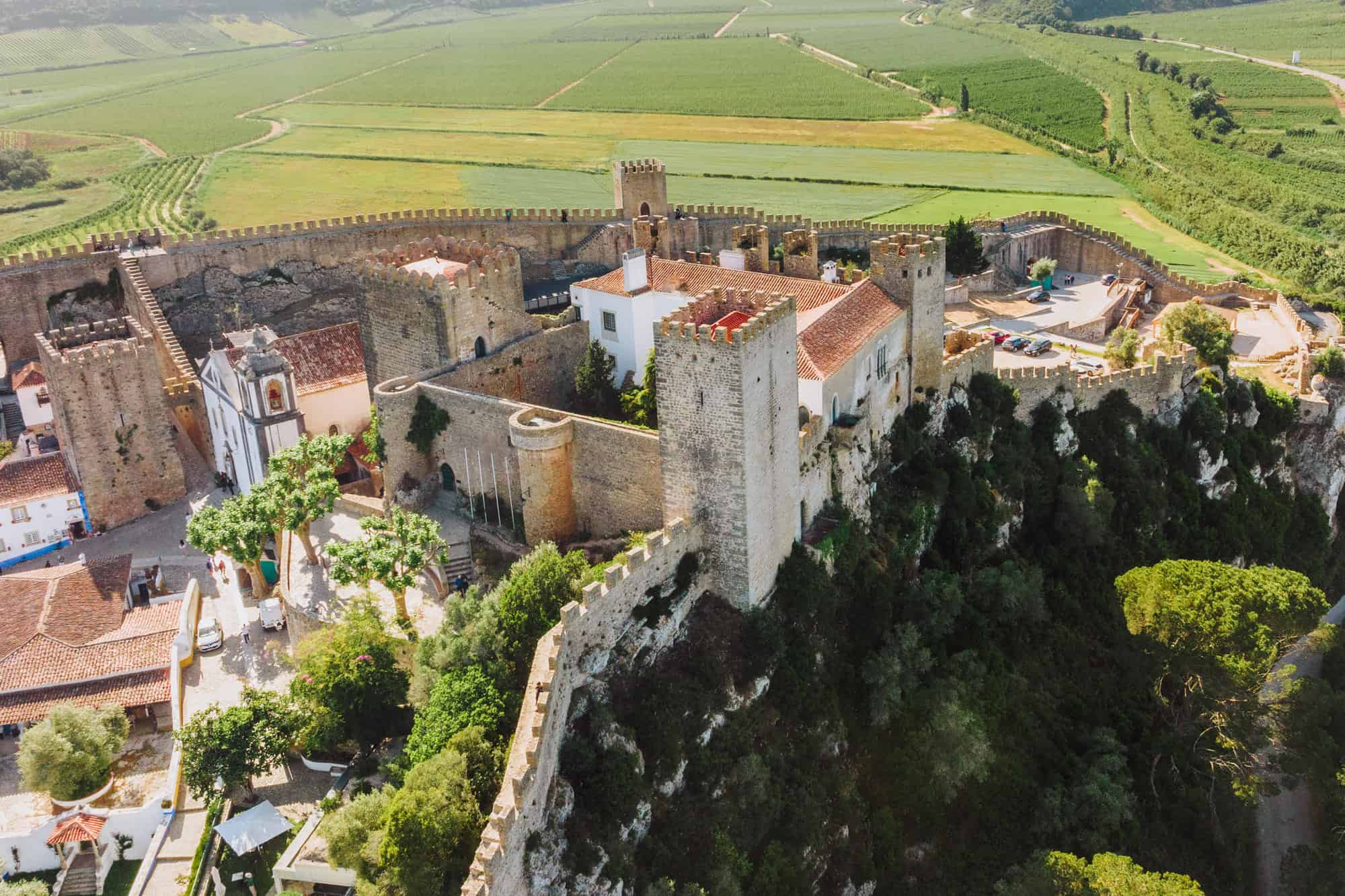 Obidos Castle and vineyards