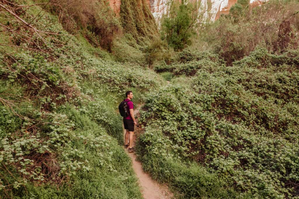 jared dillingham havasupai hiking trail