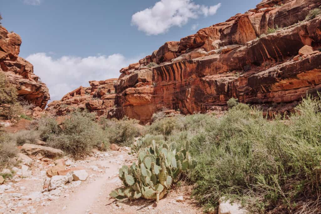 hike to havasupai falls campground