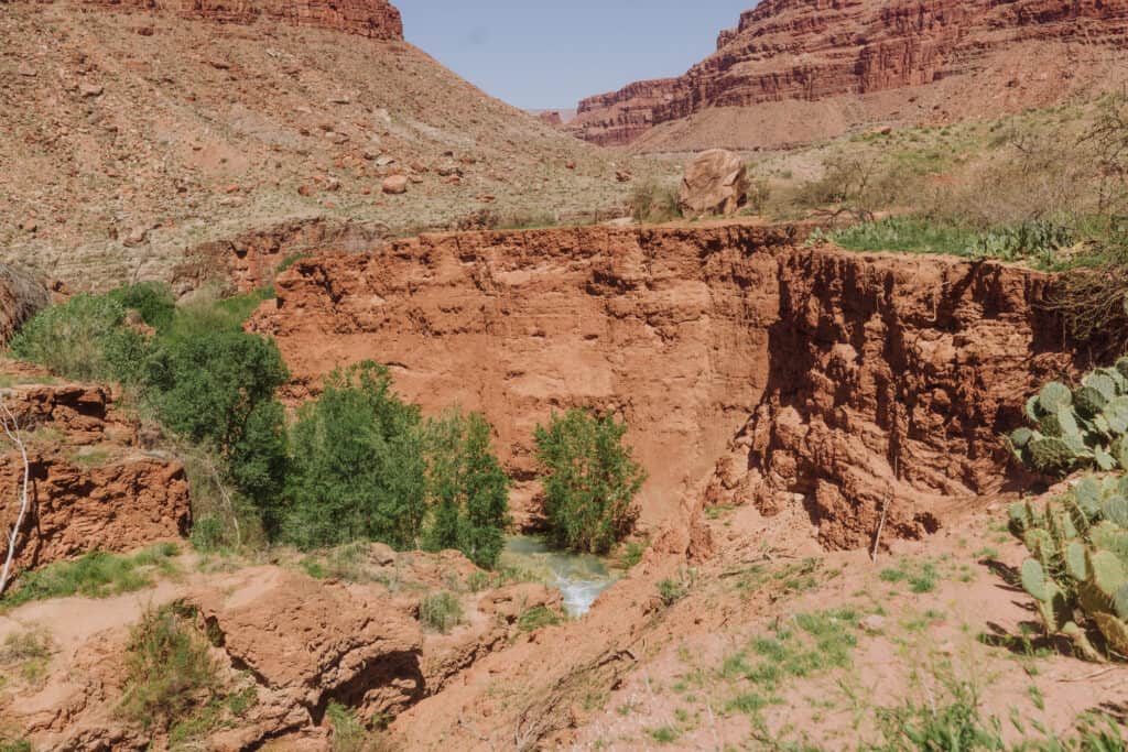 edge of the trail near little Navajo falls