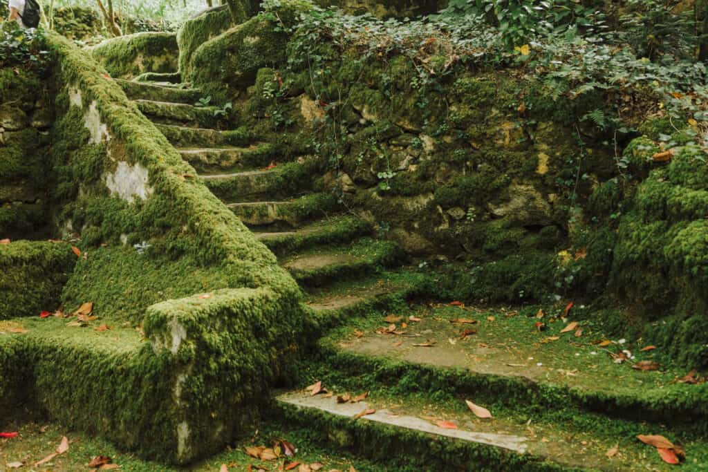 Pena Park Garden Path