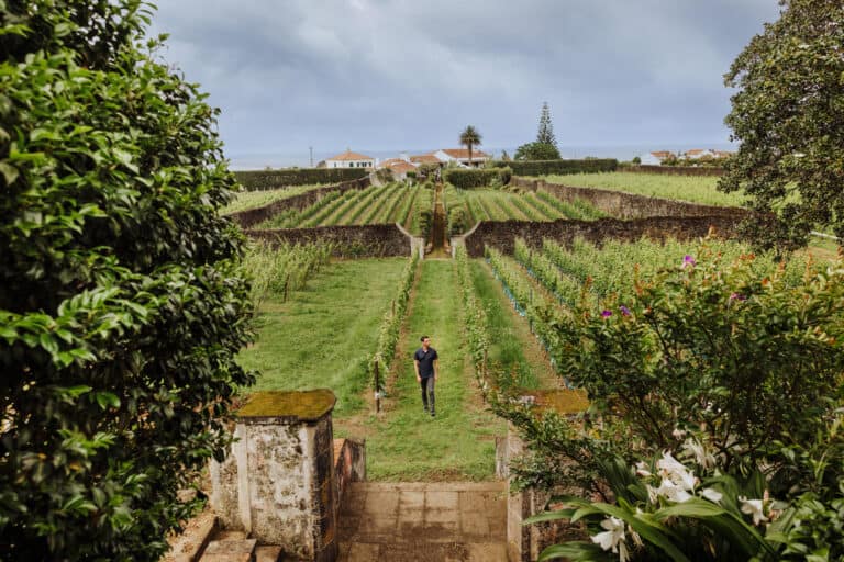 Jared Dillingham at an Azores winery