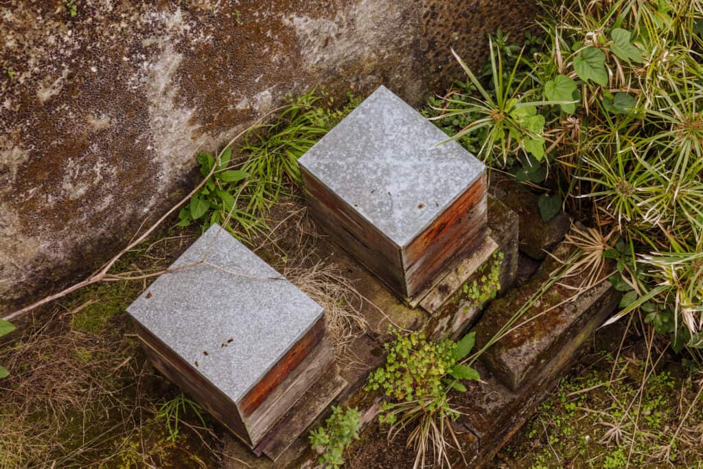 Beehive at a vineyard in the Azores