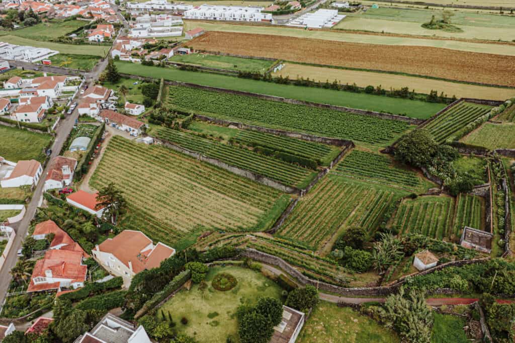 Quinta da Jardinete, a winer in the Azores