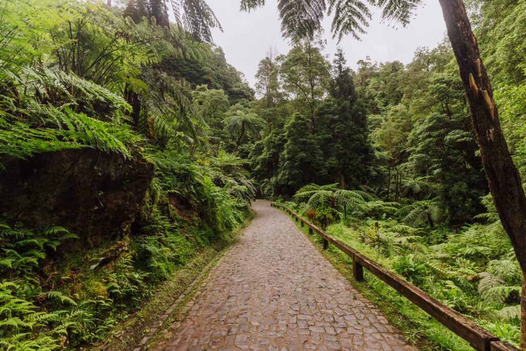 The park at Caldeira Vehla hot springs