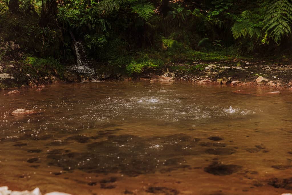Caldeira Velha boiling hot springs